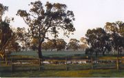 Ardwick Homestead - Broome Tourism 1