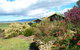 Black Cockatoo Cottages - thumb 0