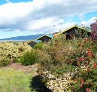 Black Cockatoo Cottages - Broome Tourism
