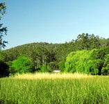 Waterholes Guest House - Broome Tourism