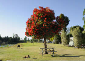Stratford On The River Tourist Park - Broome Tourism 2