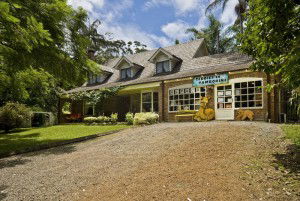 Curtis Falls Mountain Retreat - Broome Tourism 0