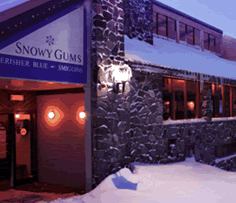 Snowy Gums Chalet - Broome Tourism 2