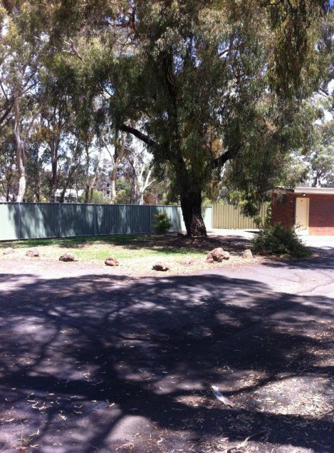 Golden Country Motel And Caravan Park - Broome Tourism 2