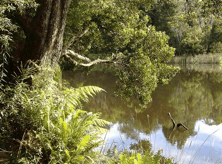 Weldborough Hotel - Broome Tourism