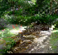 Coco's Country Cottage - Broome Tourism
