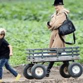 Perth City Farm Organic Markets - Broome Tourism