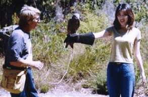 Eagles Heritage Raptor Wildlife Centre - Broome Tourism 2