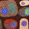 Turner Galleries - Broome Tourism