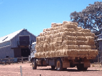 Avondale Discovery Farm - Broome Tourism 1