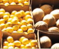 Brisbane Markets - Broome Tourism