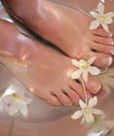 Orchid Day Spa - Broome Tourism 0