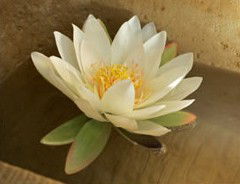 Orchid Day Spa - Broome Tourism 2