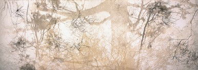 Dianne Tanzer Gallery & Projects - Broome Tourism 3