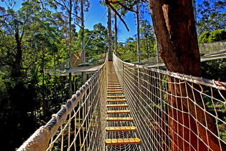 Thunderbird Park - Broome Tourism 0