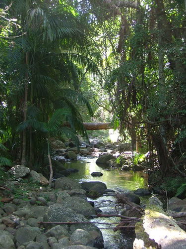 Thunderbird Park - Broome Tourism 2