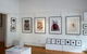 Bird's Gallery - thumb 1