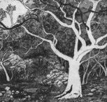 Tacit Contemporary Art - Broome Tourism