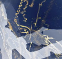 Warburton Lane Exhibits - Broome Tourism