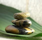 The Nature of Balance - Broome Tourism