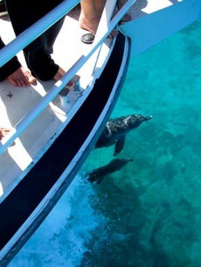 Pelican Charters - Broome Tourism 0