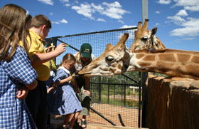 National Zoo & Aquarium - Broome Tourism 2