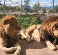 Mansfield Zoo - Broome Tourism