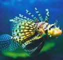 Underwater World - Broome Tourism
