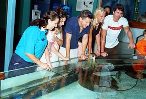 Underwater World - Broome Tourism 3