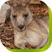  Broome Tourism