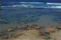 Braddon ACT Broome Tourism