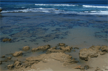 Canberra Contemporary Art Space - Broome Tourism 0