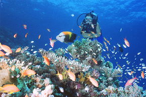  Broome Tourism