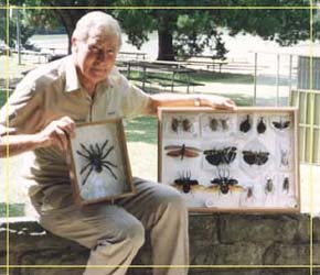 Butterfly Farm - Broome Tourism 1