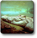 Kakadu National Park - Broome Tourism 1
