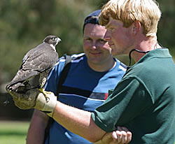 Great Oak Holdings Pty Ltd - Broome Tourism 1