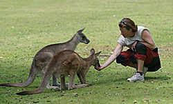 Great Oak Holdings Pty Ltd - Broome Tourism 2