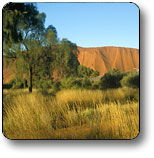  Broome Tourism