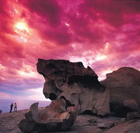 Kangaroo Island Adventure Tour 2 day/1 night - Broome Tourism