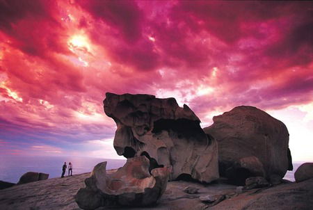 Kangaroo Island Adventure Tour 2 Day/1 Night - Broome Tourism 0