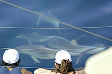 Temptation Sailing - Broome Tourism 2