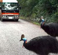 Kookaburra Tours - Broome Tourism