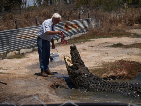 Koorana Saltwater Crocodile Farm - Broome Tourism 1