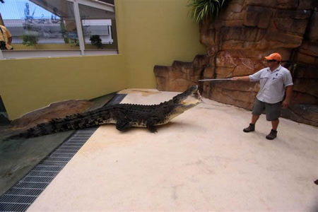 Crocosaurus Cove - Broome Tourism 2