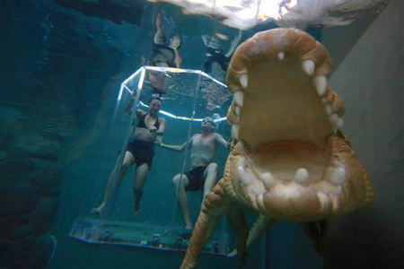 Crocosaurus Cove - Broome Tourism 3