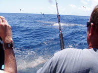 Downunder Charters - Broome Tourism 3