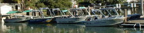 Brooklyn Central Boat Hire & General Store - Broome Tourism 1