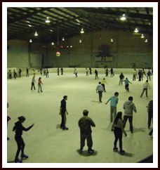 Bendigo Ice Stadium - Broome Tourism 1