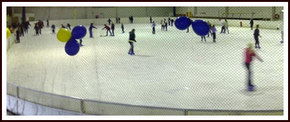 Bendigo Ice Stadium - Broome Tourism 2
