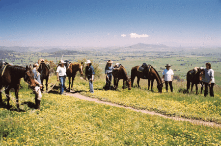 Watsons Trail Rides - Broome Tourism 1